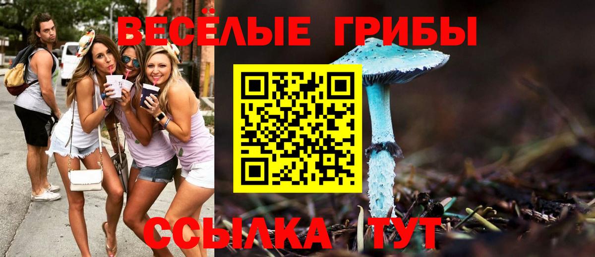 Галлюциногенные грибы Magic Shrooms  Вход с VPN  Новотроицк  Псилоцибиновые грибы Psilocybe 