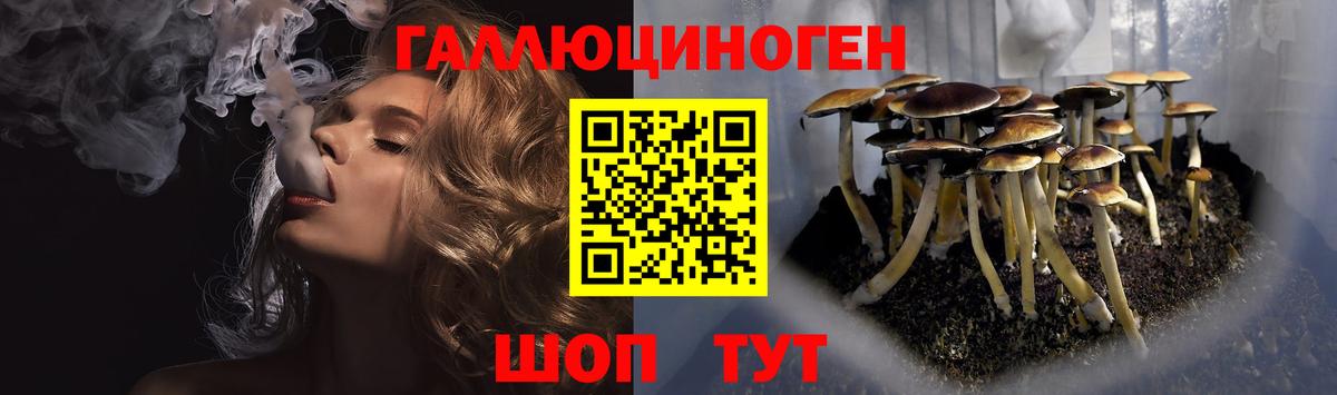 Галлюциногенные грибы Magic Shrooms Новотроицк